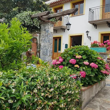 Borgo San Francesco 焦约萨马雷阿
