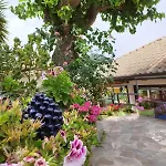 Borgo San Francesco